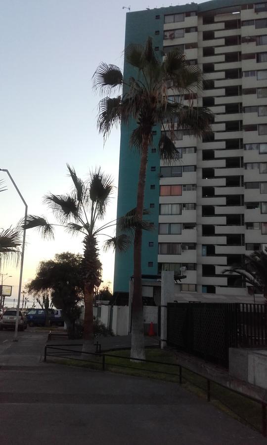 Apartamento Jardin De La Rada Hotel Iquique Buitenkant foto